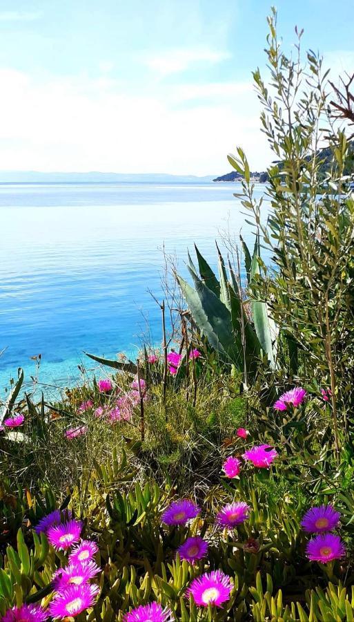 Apartment Mira II Drasnice Dış mekan fotoğraf